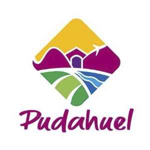 municipalidad pudahuel